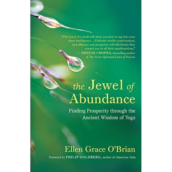 Pre-Owned The Jewel of Abundance: Finding Prosperity Through the Ancient Wisdom of Yoga (Paperback) 160868556X 9781608685561