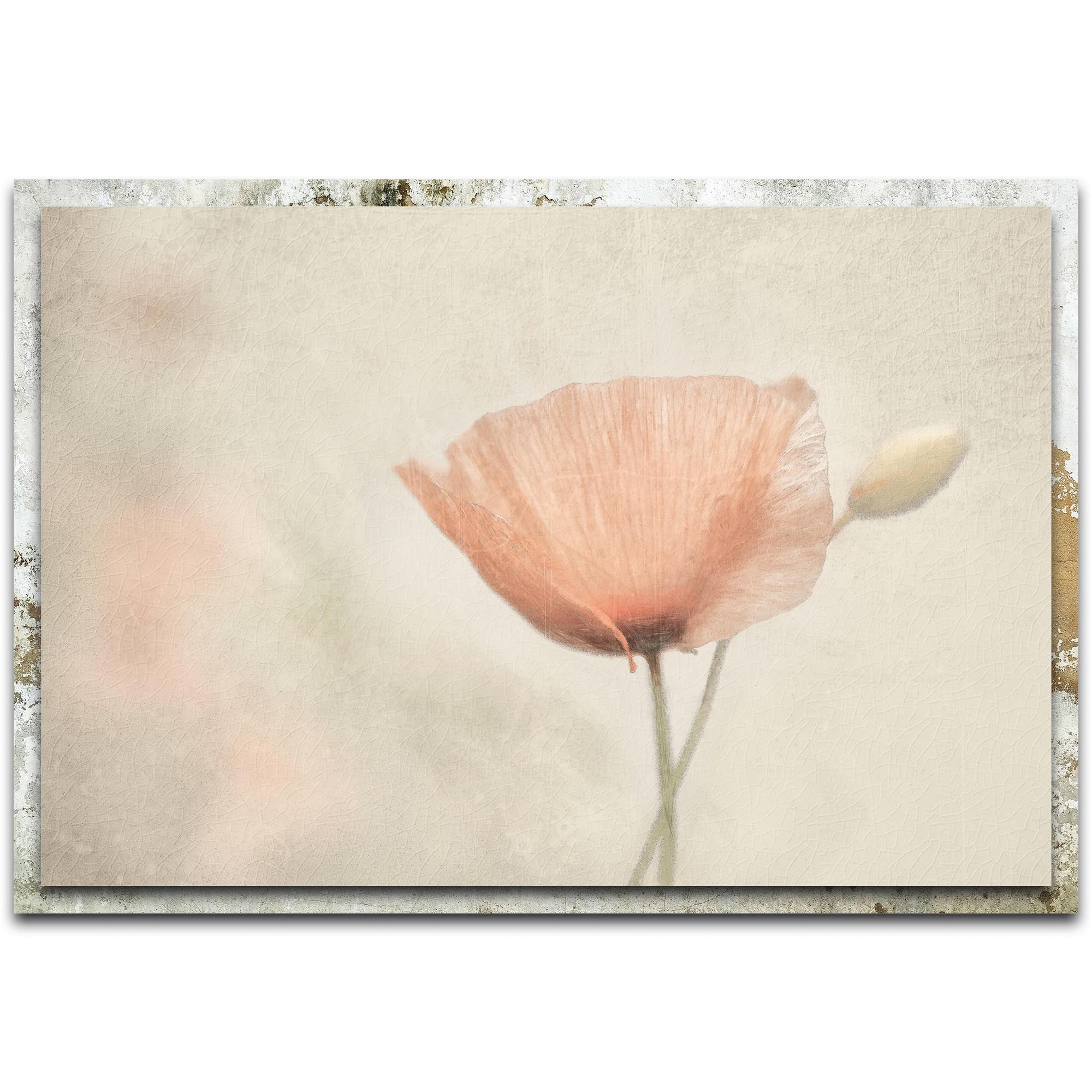Jewel of Nature Distressed Frame