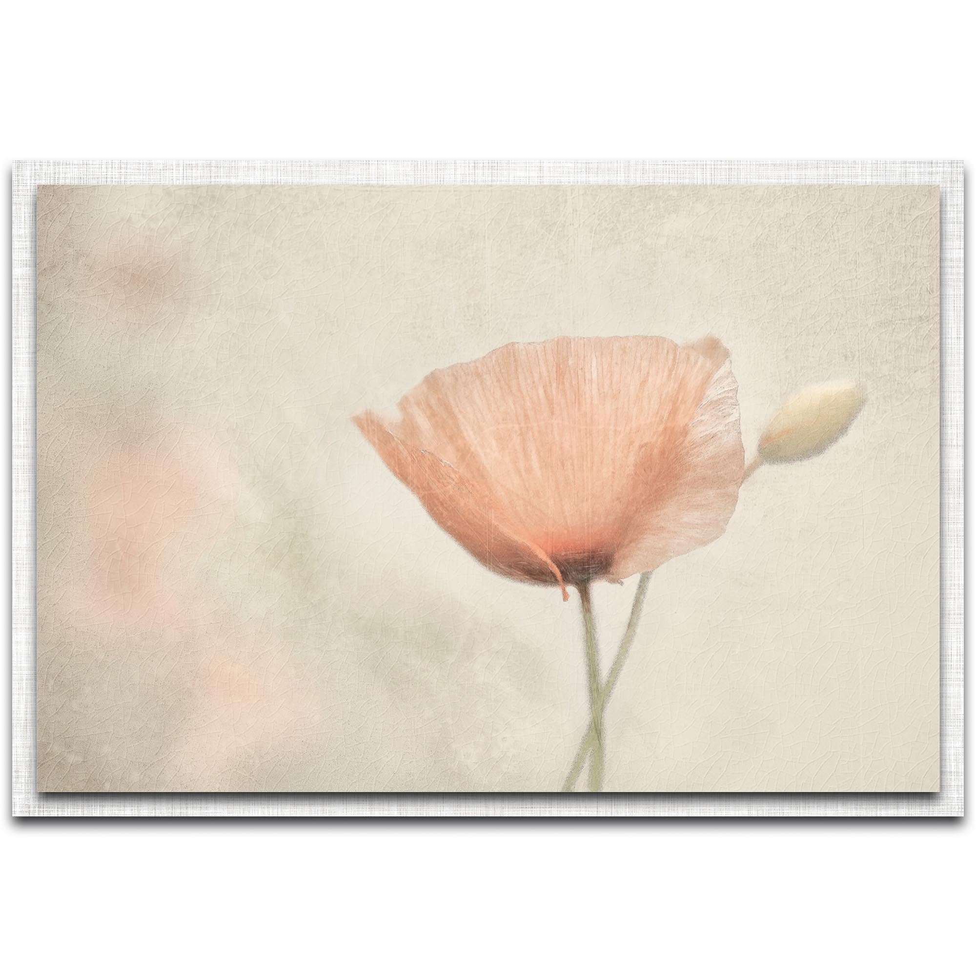 Jewel of Nature Parchment Frame