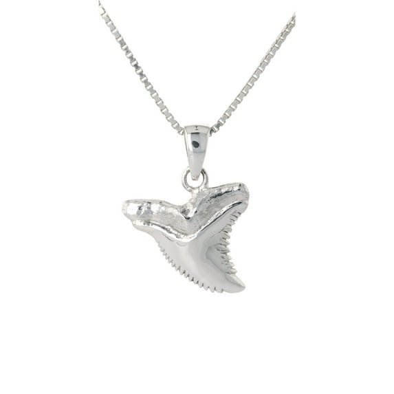 Jewelry Trends Sterling Silver Shark Tooth Pendant on 18 Inch Box Chain Necklace