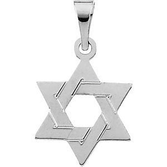 Jewels By Lux 14k White Gold 12x9mm Star of David Pendant