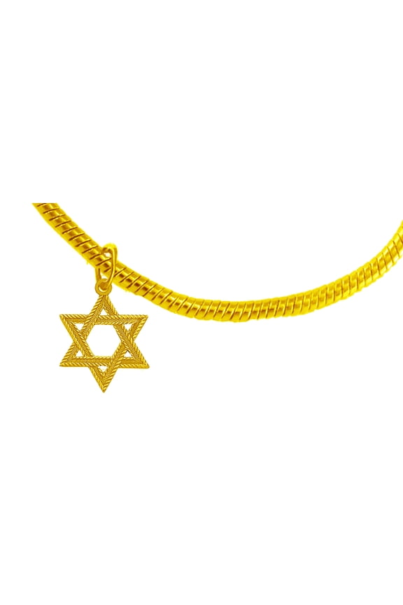 Jewish Jewelry,Antique 14KT Goldtone Star Of David On A 14KT Goldtone Adjustable Snake Chain Bracelet.Will Fit Everyone,What A Wonderful Gift For Yourself Or Someone Special.Great Bas/Bar Mitzvah Gift