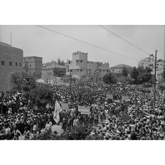 Jewish Protest Against Palestine White Paper History (24 x 18)