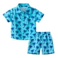 thumbnail image 1 of Jhhlsf Boys Outfit Sets Short Sleeve Summer Casual Beach Floral Shorts Athletic Clothes, 1 of 5