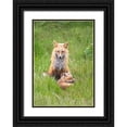 thumbnail image 1 of Ji, Shirley 11x14 Black Ornate Wood Framed with Double Matting Museum Art Print Titled - Foxes, 1 of 4