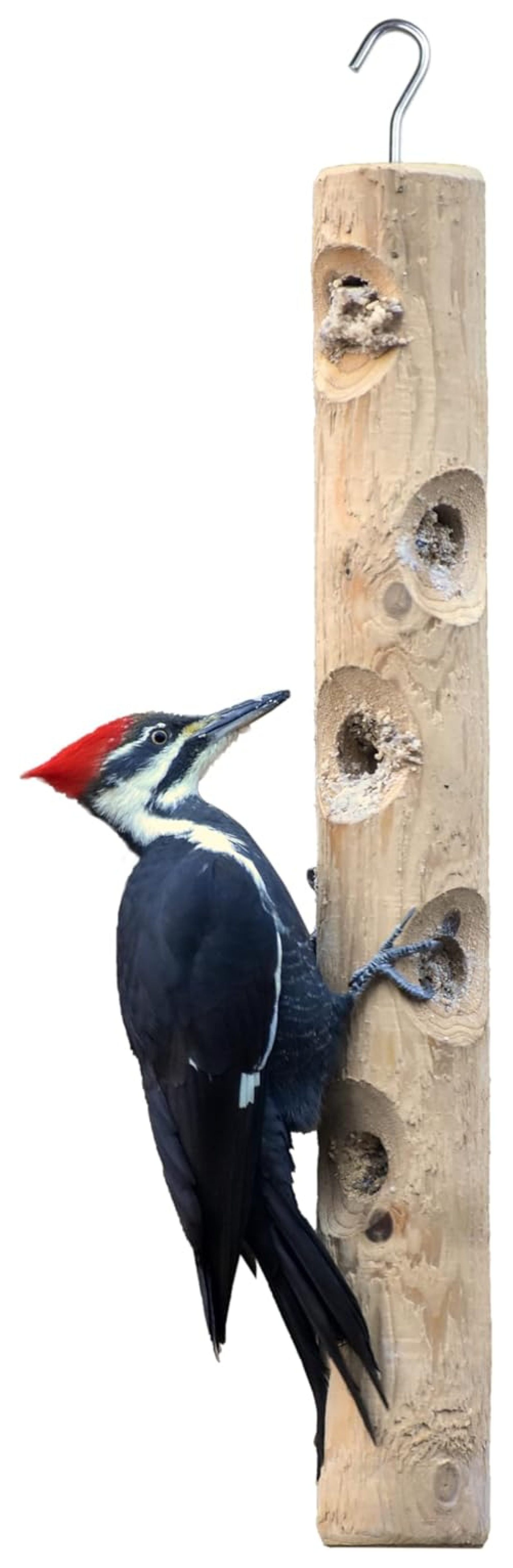 Jia ma sha Large Cedar Suet Log Feeder for Woodpeckers and Chickadees