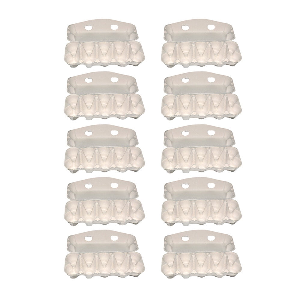 Eco Friendly Biodegradable Pulp Egg Cartons for Storage White 10pcs 10 ...