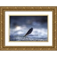 thumbnail image 1 of Jianwen 32x23 Gold Ornate Wood Framed with Double Matting Museum Art Print Titled - Dragonfly, 1 of 4