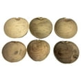 thumbnail image 1 of Jicaras para Santeria (Small 3-6" diameter) - 6 Jicaras santeria products Ifa Yoruba Religion Palo Jicaras de guira herramientas de guerreros orisha Orula Elegua Shango Yemaya Oshun Oya Obbatala Oggun, 1 of 2