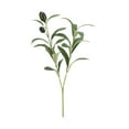thumbnail image 1 of Jierger 11 Inch Artificial Olive Branch with Fruits: Single Stem Courtyard Styling for Vase Table Centerpiece Wedding Bouquet Home Decoration, 1 of 7