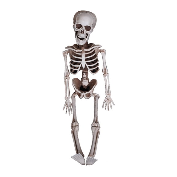 Jierger 15.74 Inch Decorative Plastic Skeleton, Human Skeleton Bone Package Decoration for House and Venue, Halloween and Science Themed Decor for Party and Display