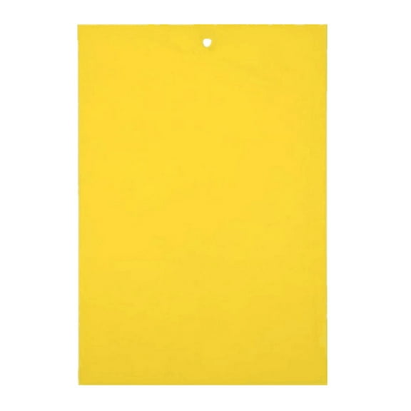 Jierger 1Pc 𝒇𝒍𝒊𝒆s 𝑻𝒓𝒂𝒑s 𝒃𝒖𝒈s Sticky Board Catching Aphid 𝒊𝒏𝒔𝒆𝒄𝒕s 𝒑𝒆𝒔𝒕 𝑲𝑰𝑳𝑳𝑬𝑹 Garden Net Ideal for Greenhouse and Garden Use