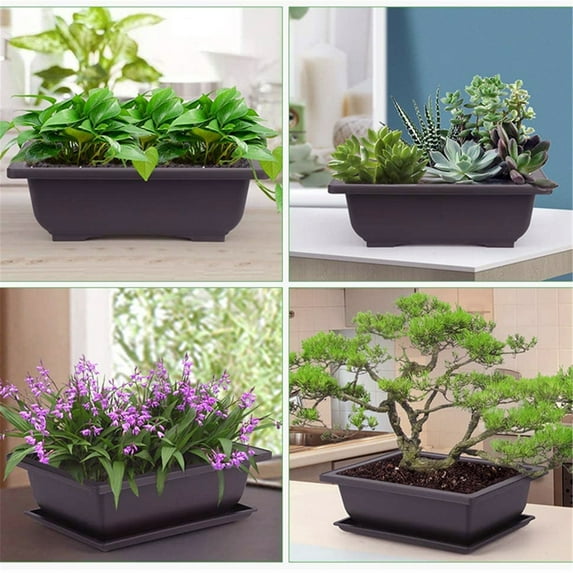 Jierger Bonsai Pot about 6.5 Inches 6 Packs Rectangle Bonzai Training Pots with Drainage Trays Plastic Flower Pot Humidity Trays Square Potted Planter Pot for Living Room Yard Garden Indoor Balcony