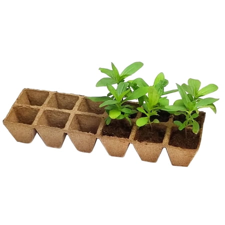Harris Seeds - Jiffy Peat Pot 1-3/4 Strips for Easy Transplanting (144 Pots Total) - 12 Ct.
