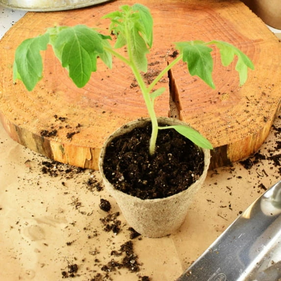 Jiffy 3 Round Pots