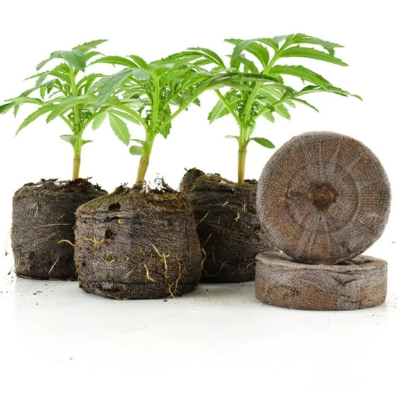 Jiffy Medium Pellets, Peat Pellets for Seed Starting, Add Water to Expand - 50-Count