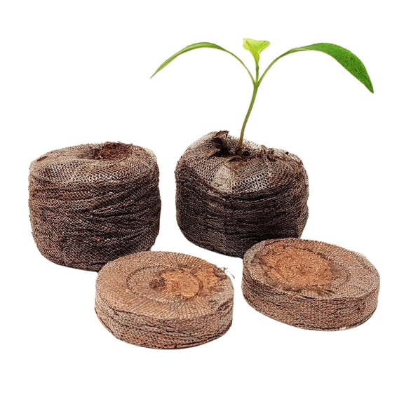 Harris Seeds Jiffy-O Organic Seed Starting Pellets 36mm, Biodegradable Growing Medium, 50 Count