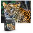thumbnail image 1 of JigFun 1000 Piece Puzzle, Leopard Jigsaw Puzzle for Adults/Teens (Puzzle Saver Kit Included), 1 of 7