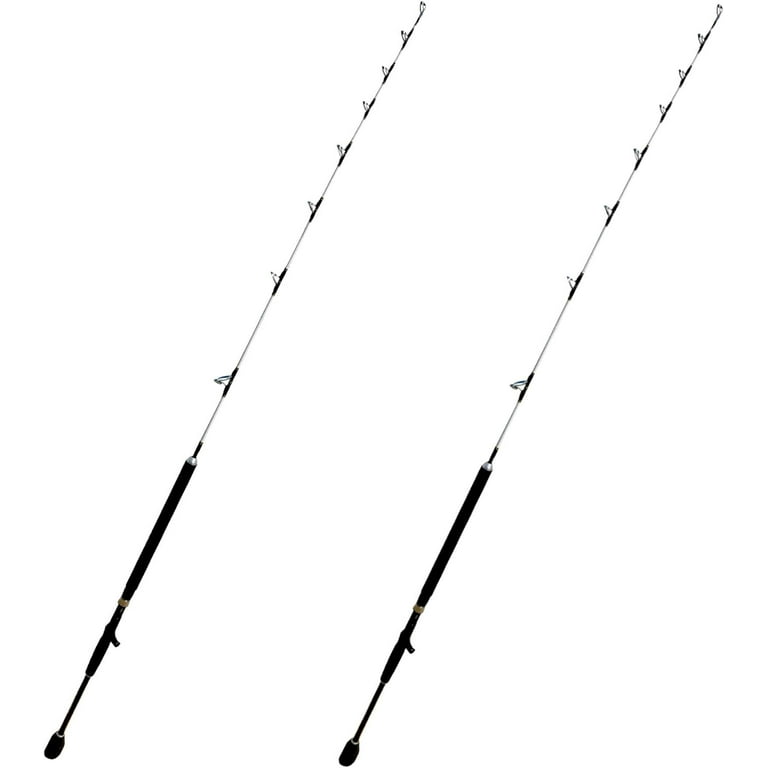 Jigging Rod  Saltwater Fishing Rod 