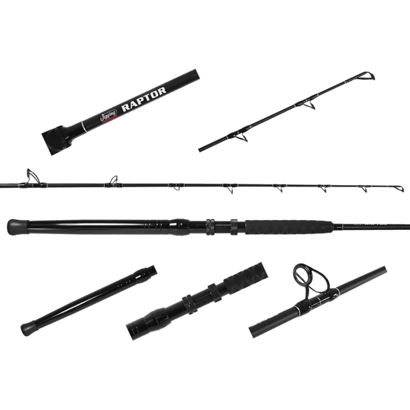 Jigging World JW-RAP661C-H Raptor Casting Rods