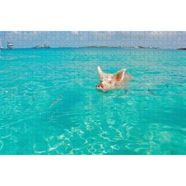 Cra-Z-Art Abraham Hunter 500-Piece Paradise Island Multicolor Adult Jigsaw Puzzle