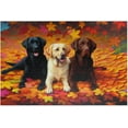 thumbnail image 1 of Jigsaw Puzzles 1000 Piece for Adults - Dogs in Forest - Labrador Retriever Dog in Autumn Park Animal Fun Puzzle Educational Family Game Toys Adults Home Decoration Colorful Puzzle Gifts, 1 of 5