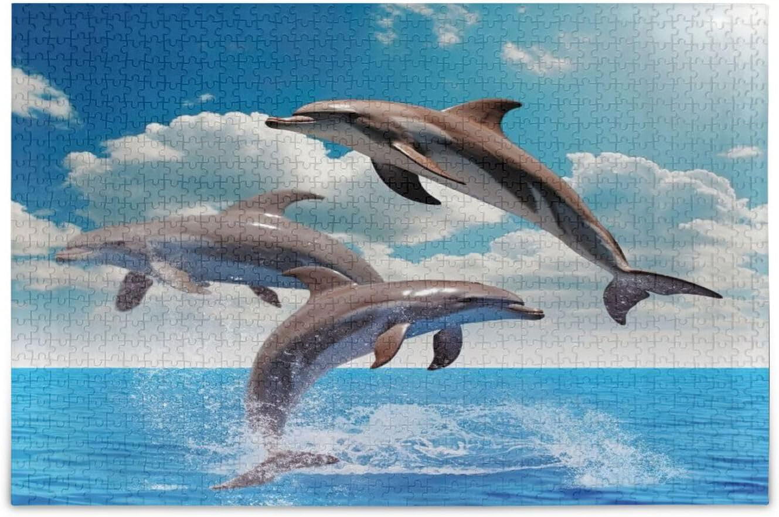 Premium 1000-Piece Jigsaw Puzzle - Playful Summer Dolphins 20x27 Inch Kodak Puzzle (8700ZZAN)