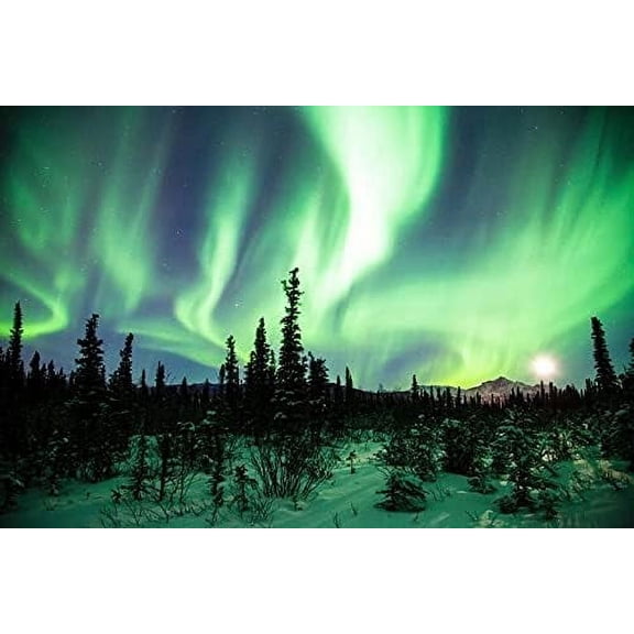 Jigsaw Puzzle for Adults, Northern Lights Aurora Borealis Over Alaska, 1000 Piece Premium Puzzle, Celestial Natural Phenomenon Art for Tranquil Home Decor