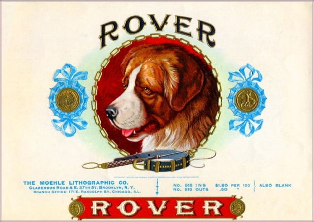 "Rigby's" Brindle Pit Bull Terrier Magnet - Vintage Cigar Box Style, 4 Inch, Heavy Duty