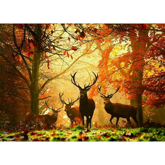 Jigsaw Puzzles 1000 Pieces for Adults Difficult Hard Jigsaw Puzzles for Women Men Premium Cardboard Precise Interlocking Elk Autumn(28 x 20 Inch)