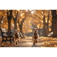 thumbnail image 1 of Jigsaw Puzzles 500 Piece for Adults - Dogs in Forest - Airedale Terriers in Autumn Park Fun Puzzle Educational Family Game Toys Adults Home Decoration Colorful Puzzle Gifts, 1 of 7