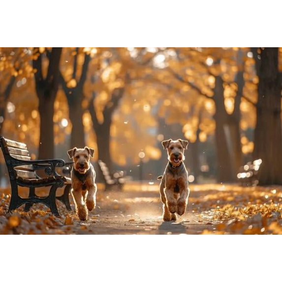 Jigsaw Puzzles 500 Piece for Adults - Dogs in Forest - Airedale Terriers in Autumn Park Fun Puzzle Educational Family Game Toys Adults Home Decoration Colorful Puzzle Gifts