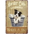 Jigsaw Puzzles 500 Piece For Adults Border Collie Laundry Wash & Dry