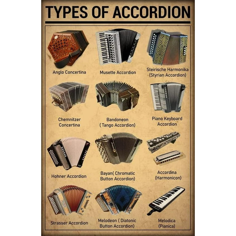 Types of accordions 2025