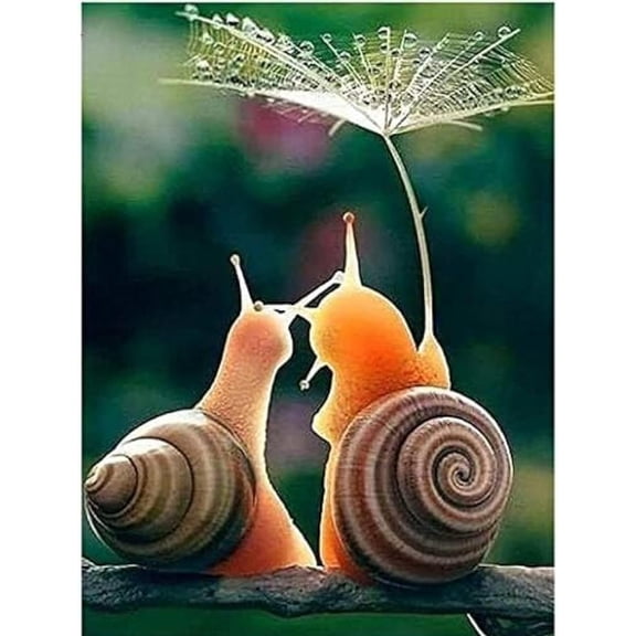 Jigsaw Puzzles Animal Snail 1000 Piece Jigsaw Puzzle challenging and Stimulating Puzzle Game Wall Art Unique Gift, Style-15, 1000PCS
