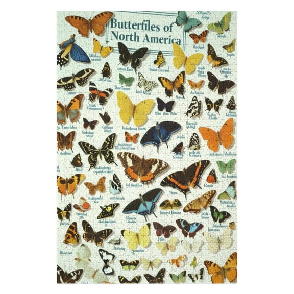 Jigsaw Puzzles - Collection of Various North American Butterflies with Their Names Labeled1000 PCSChallenging Puzzle Perfect for Game Nights