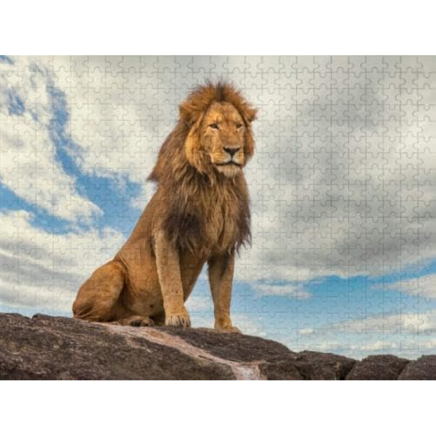 Jigsaw Wooden puzzle 500 pieces Male Lion Resting A Rock Puzzle for ...