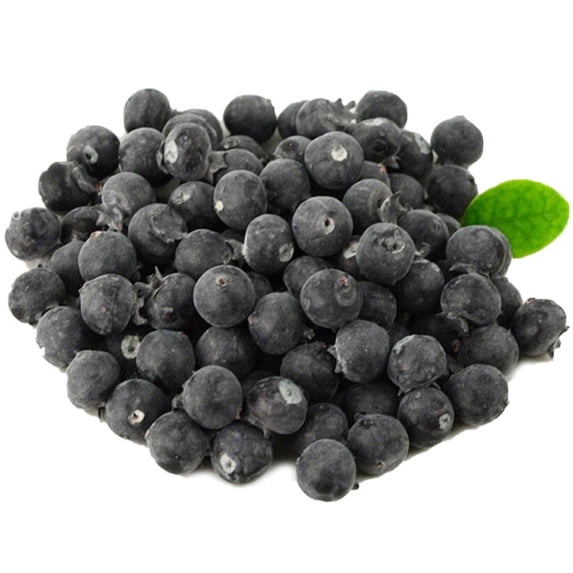 Jiibva 50 Pcs Artificial Blueberry Simulation Fake Fruits Model Ornament for Home Kitchen Party Decoration Store Display Photography Props