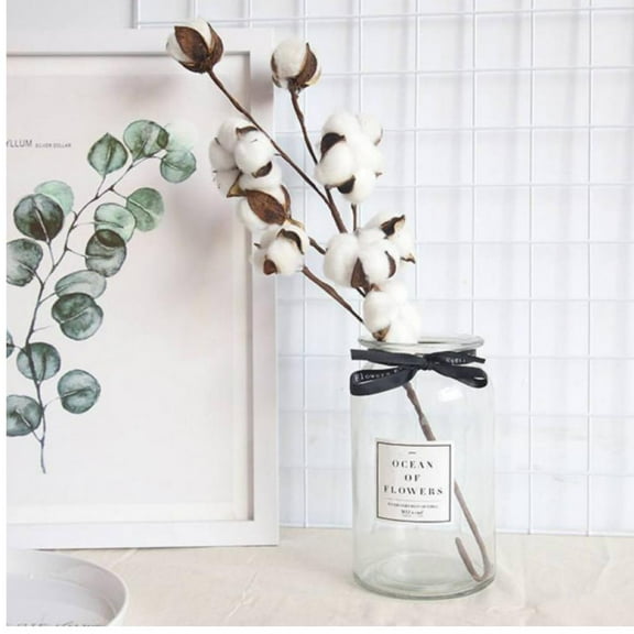 Jiibva Cotton Stems 20.86 Inches Tall 10 Cotton Bolls Per Stem Elastic Cotton Stalk Rustic Floral for Centerpiece Valentine's Day Birthday