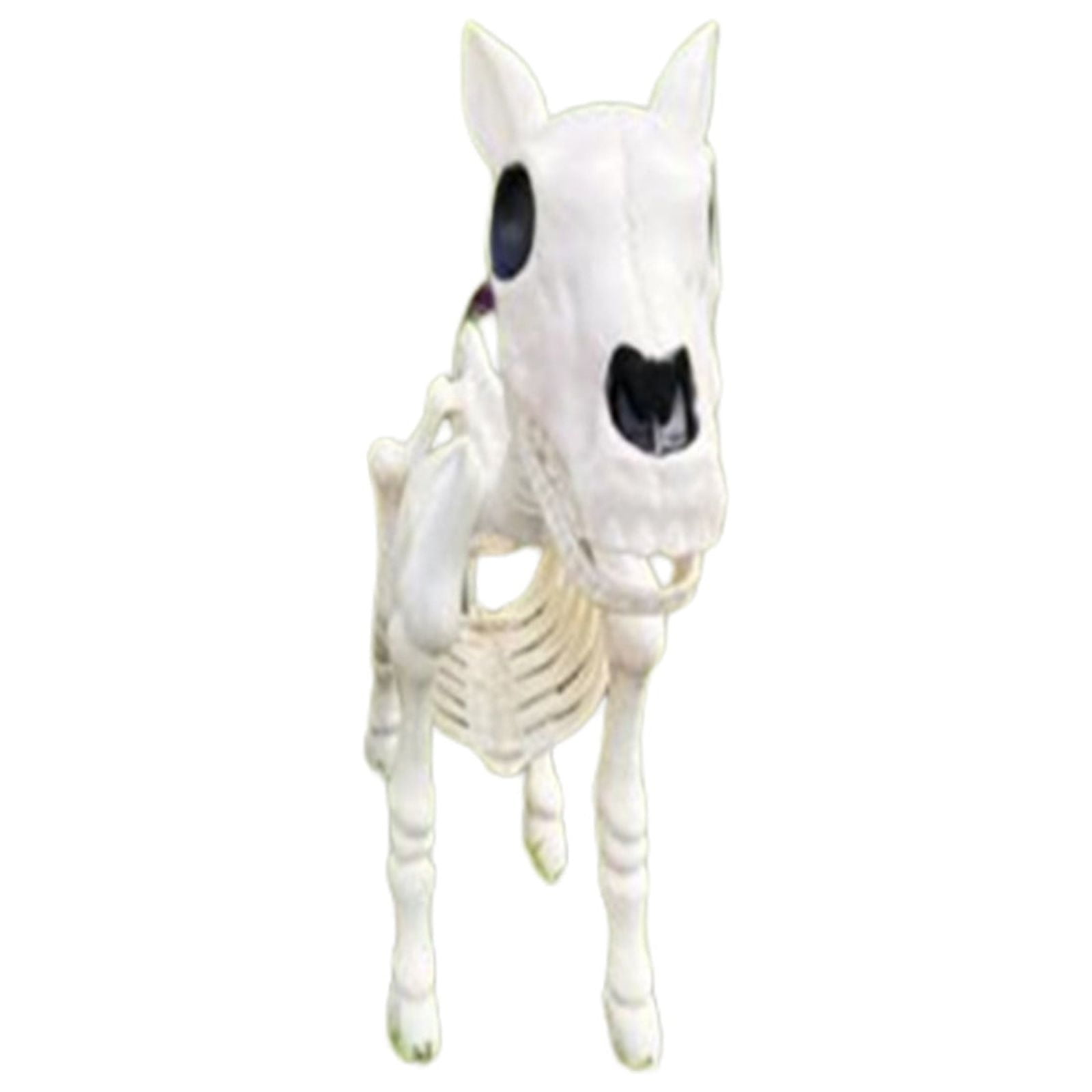 Jikolililili 2023 New Horse Skeleton Halloween Skeleton Animals