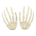 thumbnail image 1 of JikouIivo Halloween Skeleton Hand Bones Claw Decoration Skeleton Hand Bone Model Claws Skeleton Hand Ornament, 1 of 1