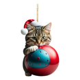 Jiledu Christmas Cat Ornaments Acrylic Cats with Santa Hat Pendant Cute