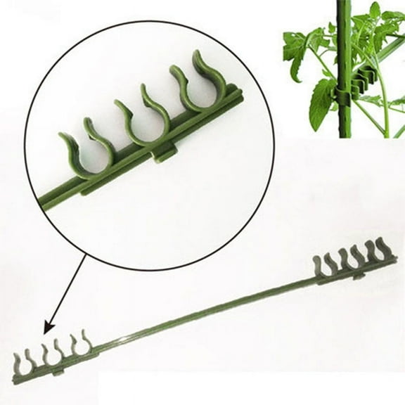 JilgTeok 1 Packs 10pcs Stake Arms for Vertical Climbing Plants Tomato Cage Vegetable Trellis Tomato Pillar Bracket Balcony Yard Vegetable Gardening