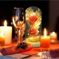thumbnail image 1 of JilgTeokBeauty and The Rose, Flower with LED Light & Red Roses Romantic Surprise Gifts for Girlfriend Wife Women for Birthday, Valentine's Day, Christmas, Mother's Day(5.31*5.31*9.84in), 1 of 3