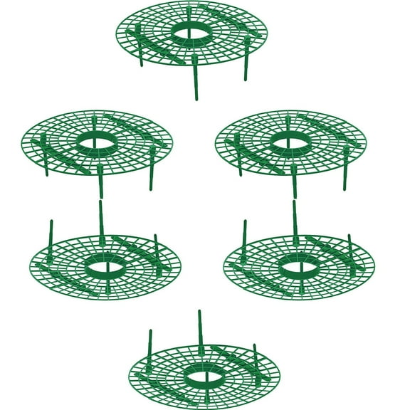 JilgTeok Practical & safe Strawberry Plant Growing Supports Keep Strawberries off Rot in The Rainy Day