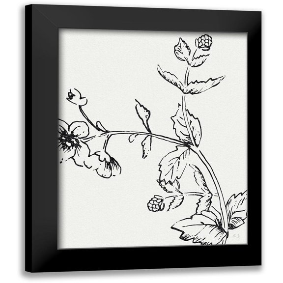 Jill, Susan 12x14 Black Modern Framed Museum Art Print Titled - Botanical Study II