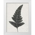 thumbnail image 1 of Jill, Susan 12x14 White Modern Wood Framed Museum Art Print Titled - Forest Fern I, 1 of 4
