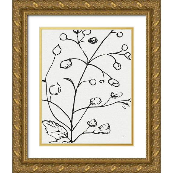 Jill, Susan 15x18 Gold Ornate Wood Framed with Double Matting Museum Art Print Titled - Botanical Sketch I