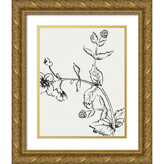Jill, Susan 20x24 Gold Ornate Wood Framed with Double Matting Museum Art Print Titled - Botanical Study II