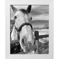 thumbnail image 1 of Jill, Susan 26x32 White Modern Wood Framed Museum Art Print Titled - Caen, 1 of 4
